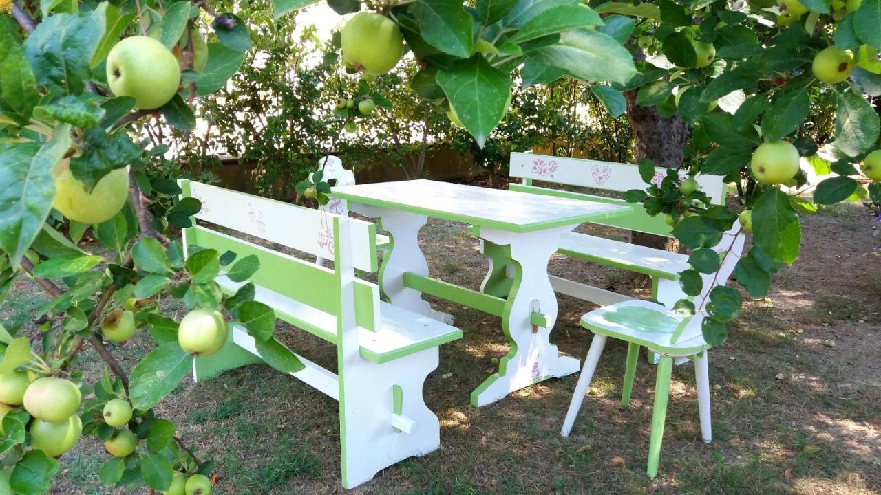Villa Bruna Cesenatico Luaran gambar